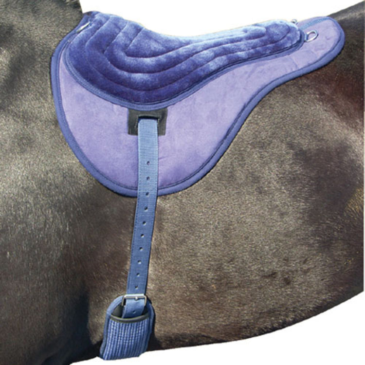 Intrepid International Comfort Plus Bareback Pad