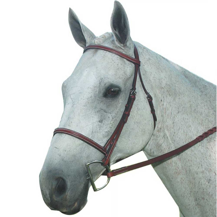 Kincade Plain Raised Bridle - Brown