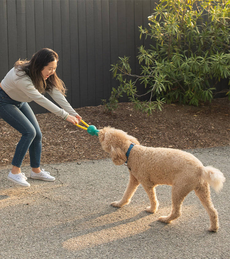ZippyPaws ZippyTuff Monkey RopeTugz Dog toy