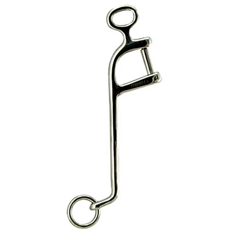 Interchangeable Stainless Steel Bit Cheek Shanks 8" Pairs