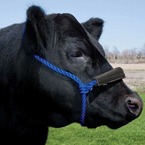 Weaver Neoprene Noseband Cover 2/pack Black