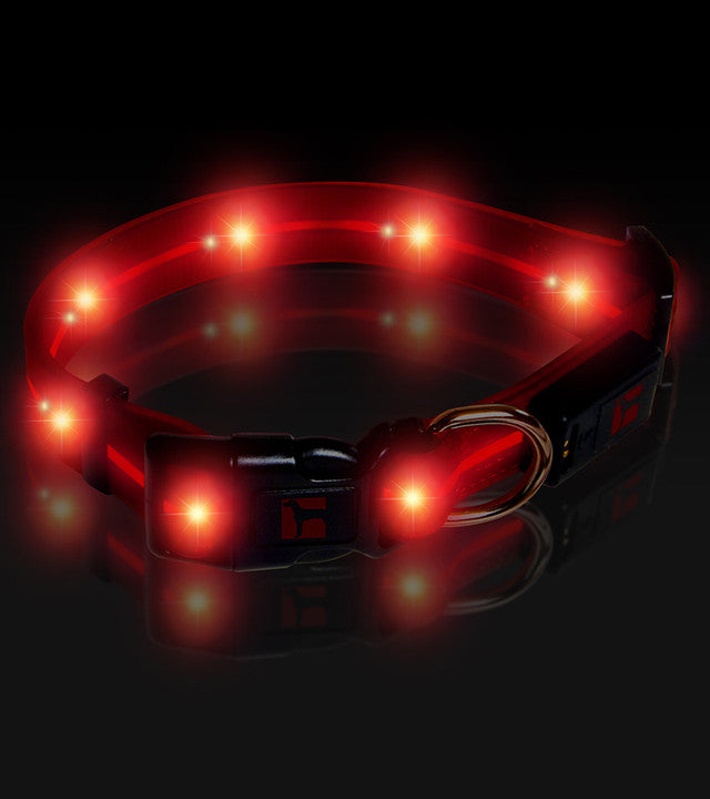 Ultrahund LED Adjustable Dog Collar