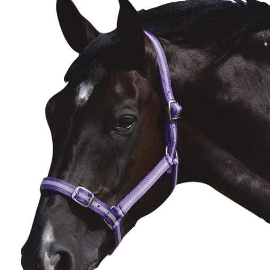 ROMA Halter and Lead Rope Set - ROMA Headcollar and Lead Rope Set