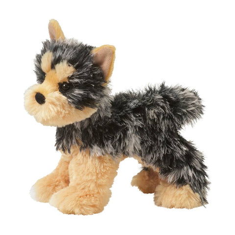 Yonkers Yorkie 8