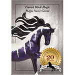 Trail of Painted Ponies Frosted Black Magic 20 Year Anniversary Horse Figurine 9.4in H