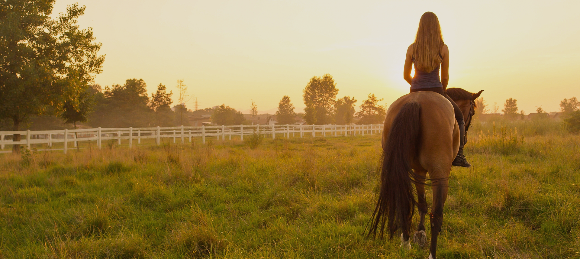 Premium Products for Riders Who Demand the Best