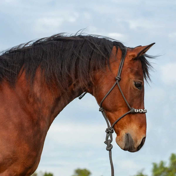 Cashel Beaded Nose Rope Halter w/9ft Lead Charcoal
