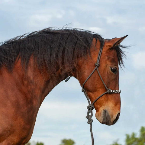 Cashel Beaded Nose Rope Halter w/9ft Lead Charcoal