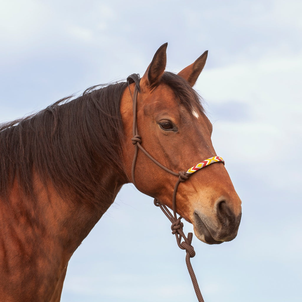 Cashel Company Beaded Rope Halter with 9ft Lead Chocolate