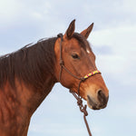 Cashel Company Beaded Rope Halter with 9ft Lead Chocolate