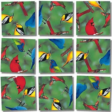 Scramble Squares: North American Birds