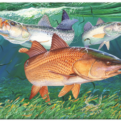 River's Edge Tempered Glass Cutting Board - Redfish