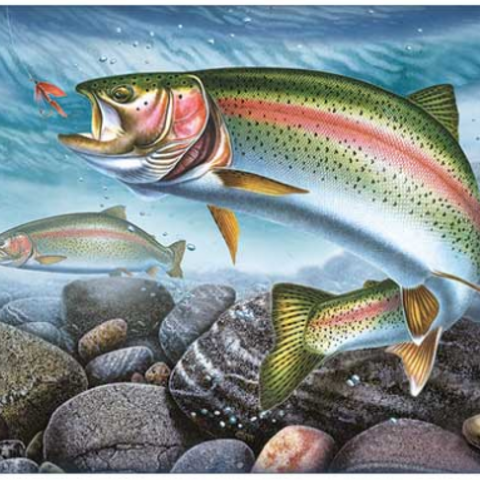 River's Edge Tempered Glass Cutting Board - Trophy Rainbow Trout