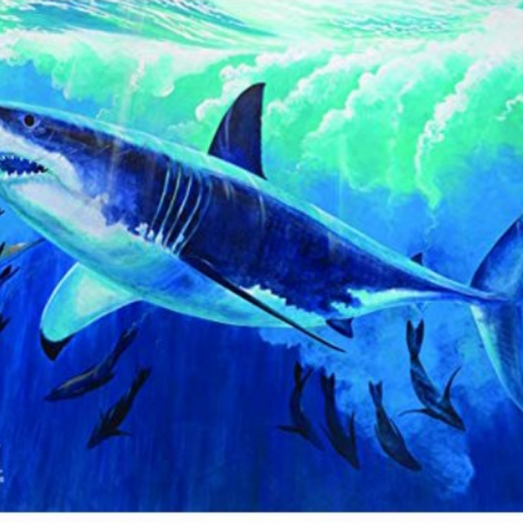 River's Edge Tempered Glass Cutting Board - Shark