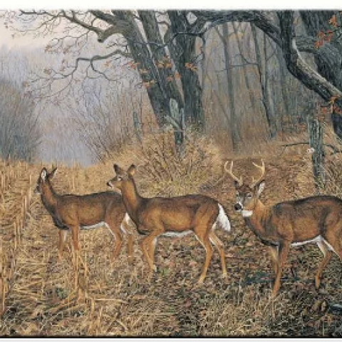 River's Edge Tempered Glass Cutting Board - Deer New Arrival