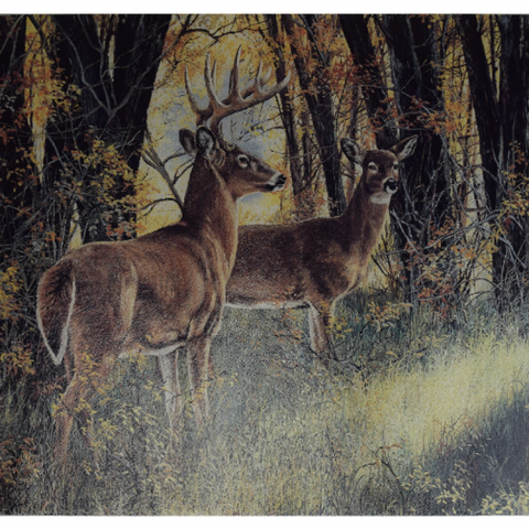 River's Edge Tempered Glass Cutting Board - Deer Under Cover