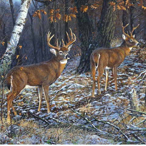 River's Edge Tempered Glass Cutting Board - Deer Bucks in the Woods