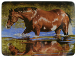River's Edge Tempered Glass Cutting Board - Bathing Beauty Horse