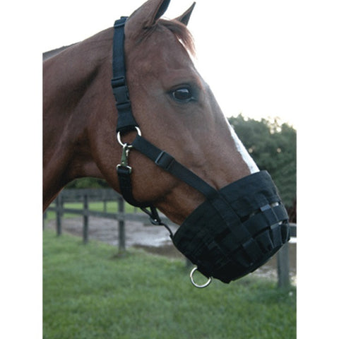 Web Grazing Muzzle