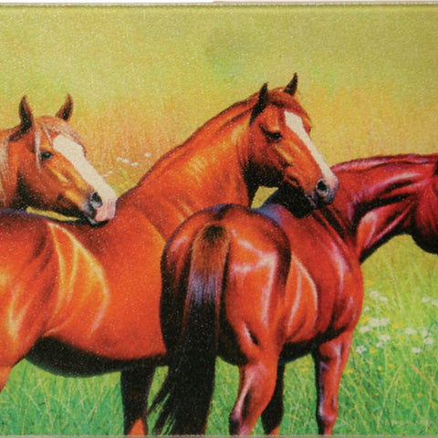 River's Edge Tempered Glass Cutting Board with 3 Beautiful Horses