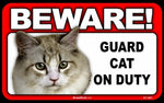 BEWARE Guard Cat on Duty Sign - Coon Cat