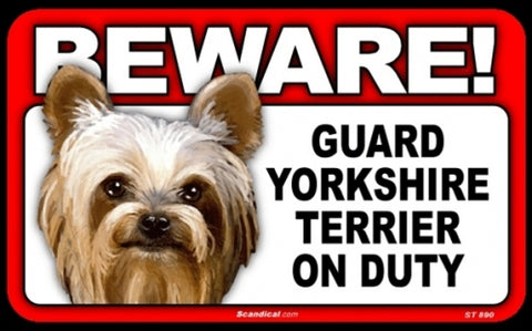 BEWARE Guard Dog on Duty Sign - Yorkshire Terrier