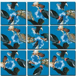 Birds of Prey Scramble Squares